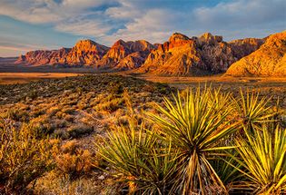 Nevada: Red Rock Canyon National Conservation Area