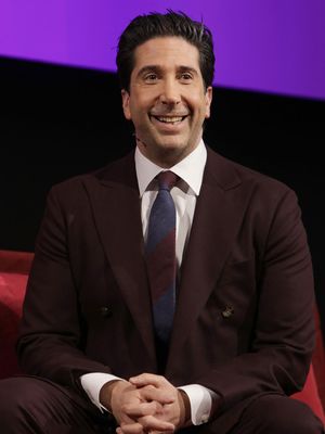 David Schwimmer