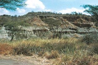 Tanzania: Olduvai Gorge