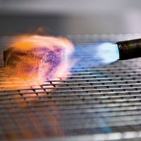 Modernist Cuisine, searing with a blowtorch.