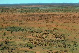 Gibson Desert, Australia