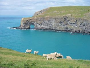 Banks Peninsula