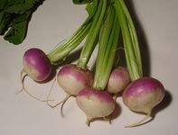 turnips