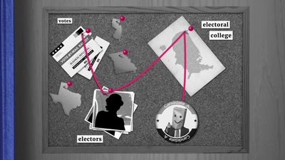 How does the Electoral College work in the U.S.?