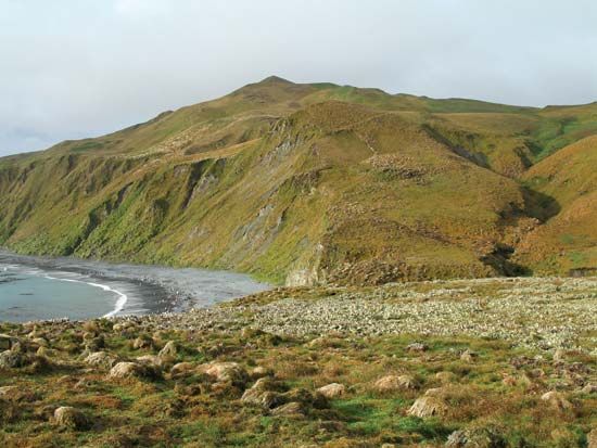 Macquarie Island