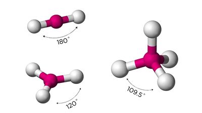 Why is carbon called the element of life?