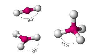 Why is carbon called the element of life?