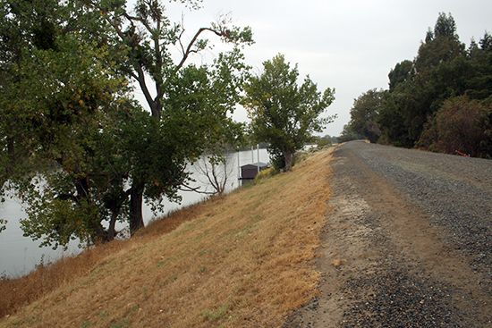 levee on the Sacramento River, California