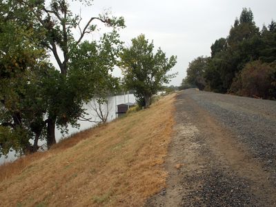 levee on the Sacramento River, California