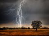 Lightning over a farm field. Weather electricity thunderstorm light energy tree