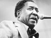 Muddy Waters