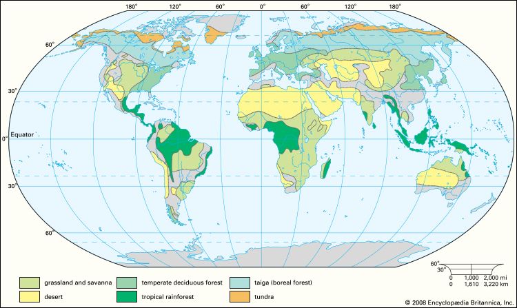 terrestrial biomes of the world