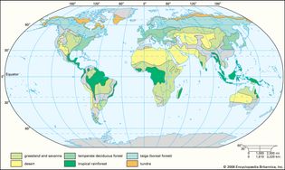 terrestrial biomes of the world