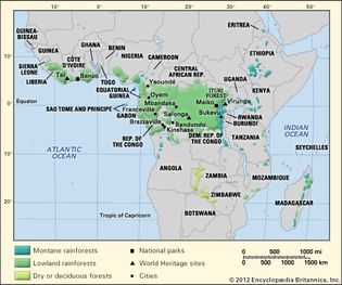 African tropical forests