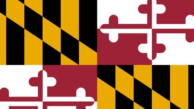 Maryland state flag