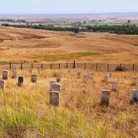 Battle of the Little Bighorn