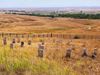 Battle of the Little Bighorn