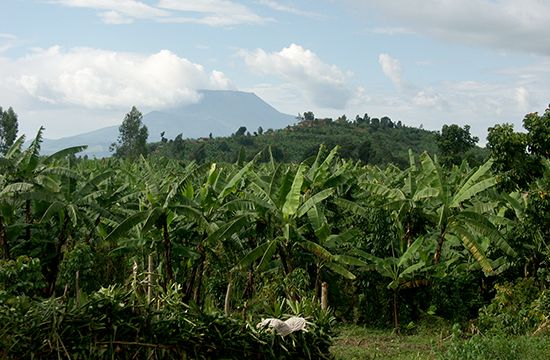 Mount Nyiragongo, Democratic Republic of the Congo.