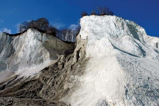 Møn: chalk cliffs