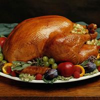 Holiday, Christmas, Thanksgiving, turkey with stuffing and dressing. (holidays, Thanksgiving Day)