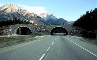 Trans-Canada Highway