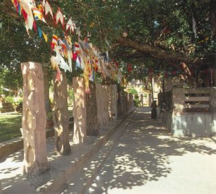 Bodh Gaya, Bihar, India: Bodhi Tree