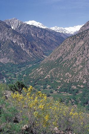 Pakistan: Hindu Kush