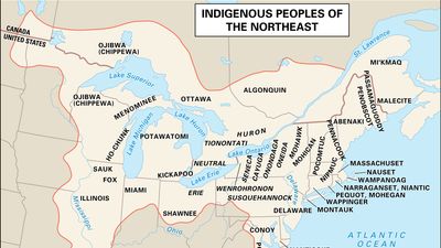 Distribution of Northeast Indians