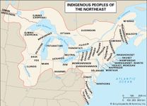 Distribution of Northeast Indians