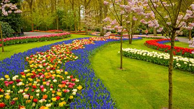 Keukenhof Gardens