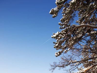 winter in the southern Ural Mountains