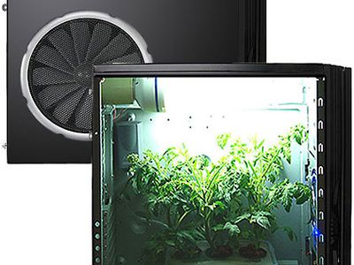 Hydroponics grow box