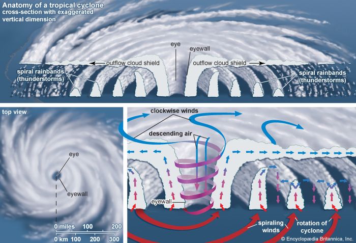 tropical cyclone