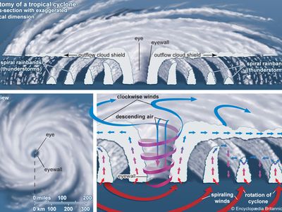 tropical cyclone