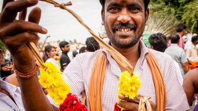 Pongal