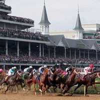 Field of race horses at the clubhouse turn during the 133rd running of the Kentucky Derby at Churchill Downs in Louisville Kentucky May 5, 2007. Thoroughbred horse racing