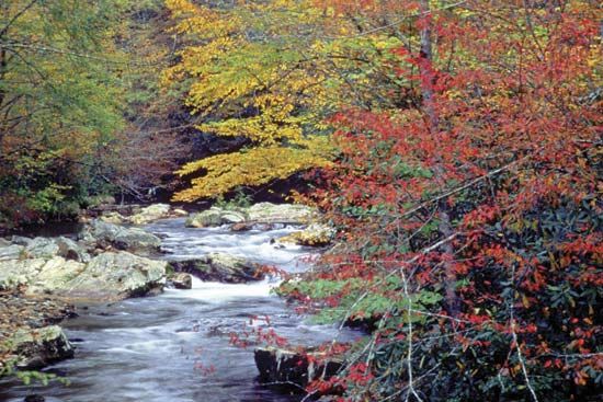 Great Smoky Mountains National Park, North Carolina