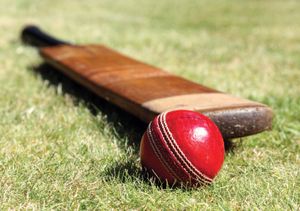 cricket bat and ball