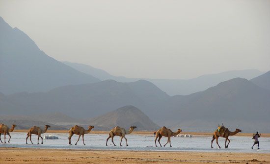 Lake Assal, Djibouti