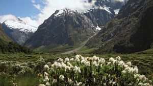 Fiordland National Park