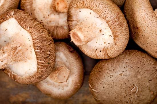 shiitake mushrooms