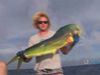 Experience game fishing off the coast of Rarotonga, Cook Islands