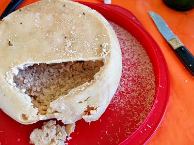 casu marzu cheese