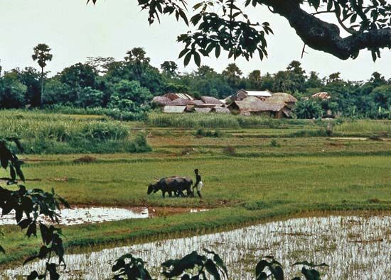 Bankura, West Bengal, India