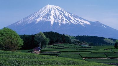 Mount Fuji