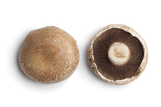 portobello mushrooms