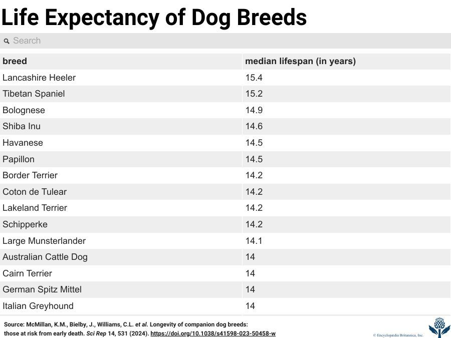 Life expectancy of dog breeds