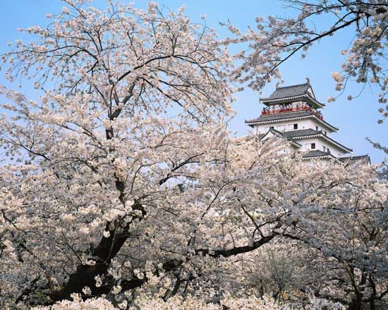 Aizu-wakamatsu, Japan: Tsuruga Castle