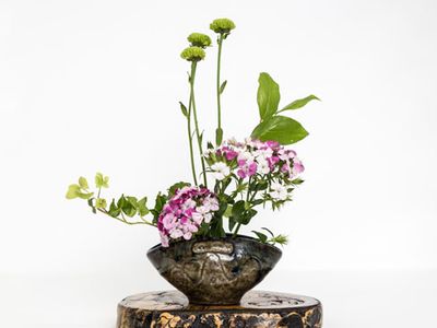 ikebana