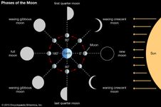 phases of the Moon